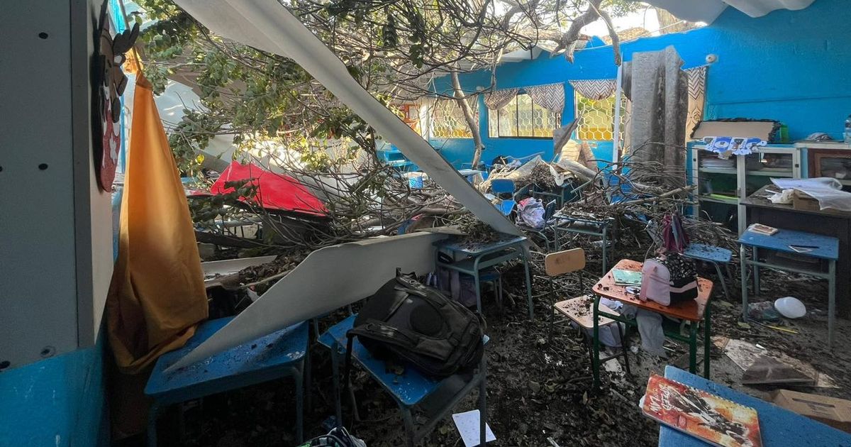 Tree falls on class and leaves 15 children injured and teacher 'bleeding' - Daily Star