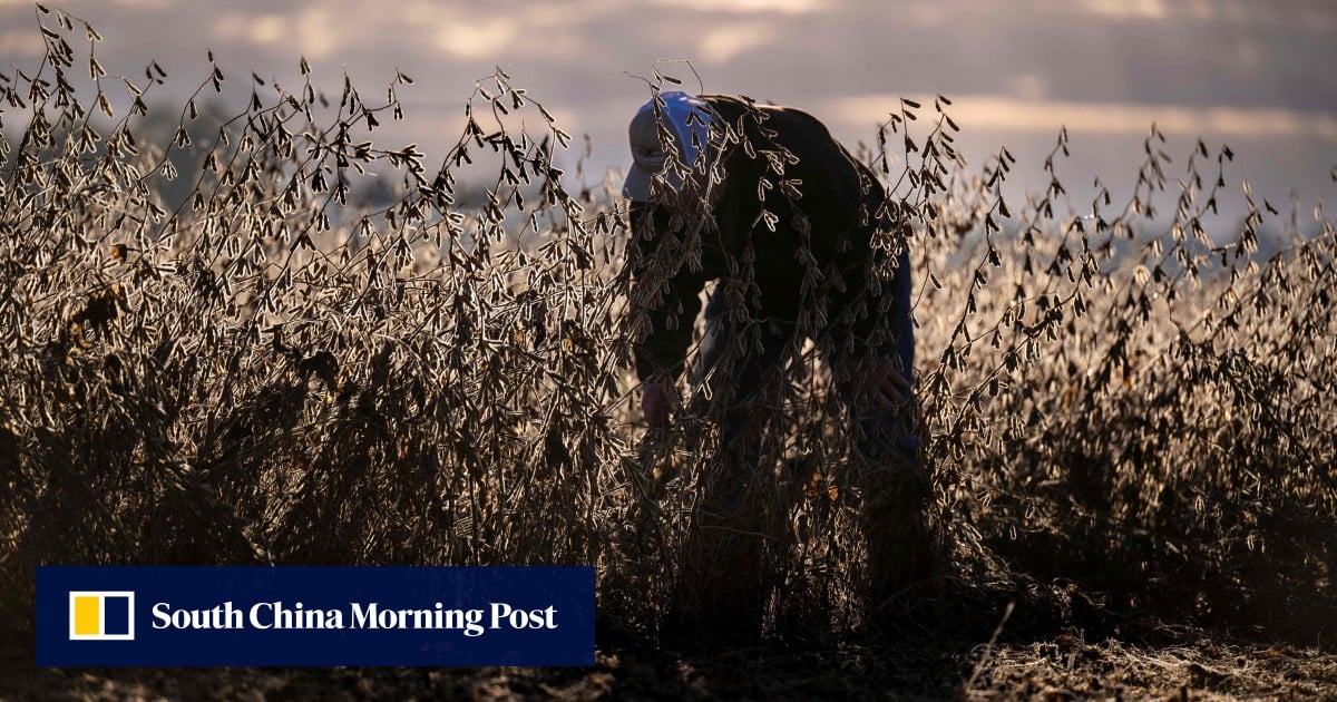 'A slap in the face': Some US farmers unhappy with Trump's $12 billion bailout