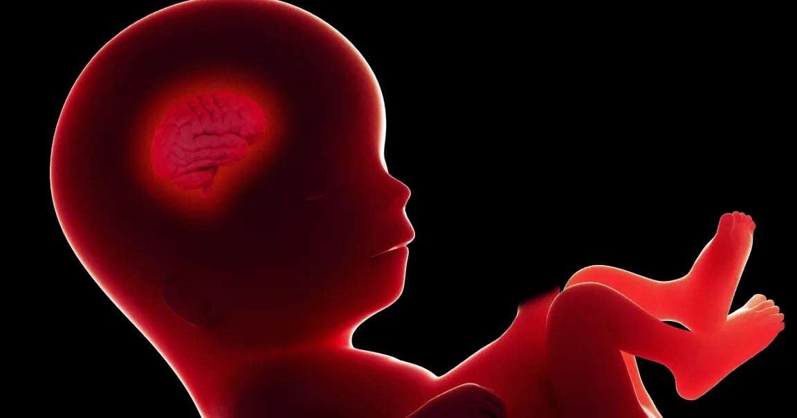 UK Couples' Embryo Selection Revives Eugenics Debate