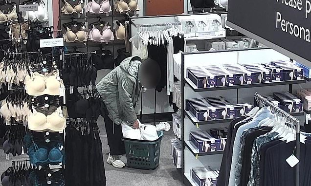 Police shelve record 800 shoplifting crimes a day