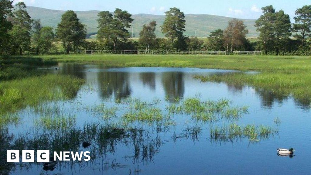 Is upgrading an old skating pond worth £1m?