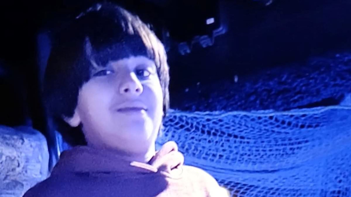 Urgent hunt launched after boy, 10, vanishes near the London Eye