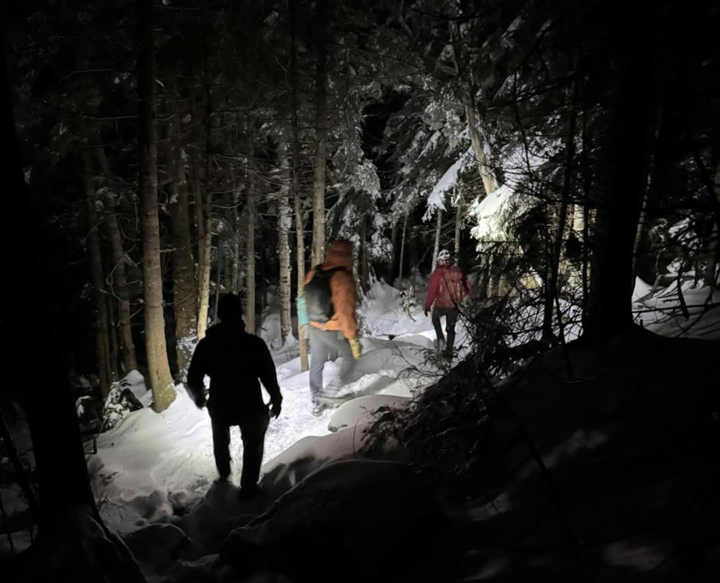 'We saw this on TikTok': Vermont rescue squad blames social media for backcountry ski incidents - The Boston Globe