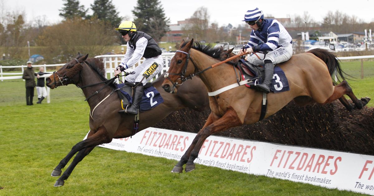 'He has been knocking on the door for a big-race victory' - Jason Heavey's Saturday tips - Daily Star