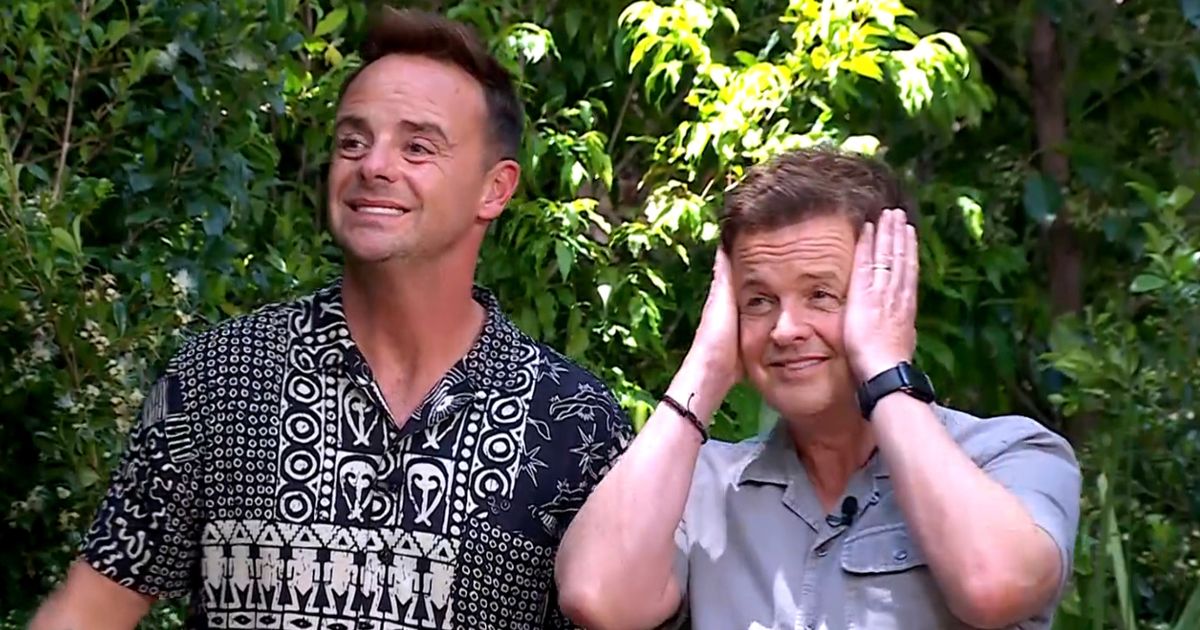 How to watch I'm A Celebrity while outside of the UK   - The Mirror