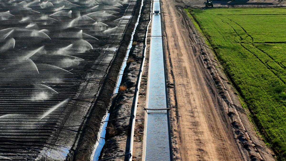 Some big water agencies in farming areas get water for free. Critics say that needs to end