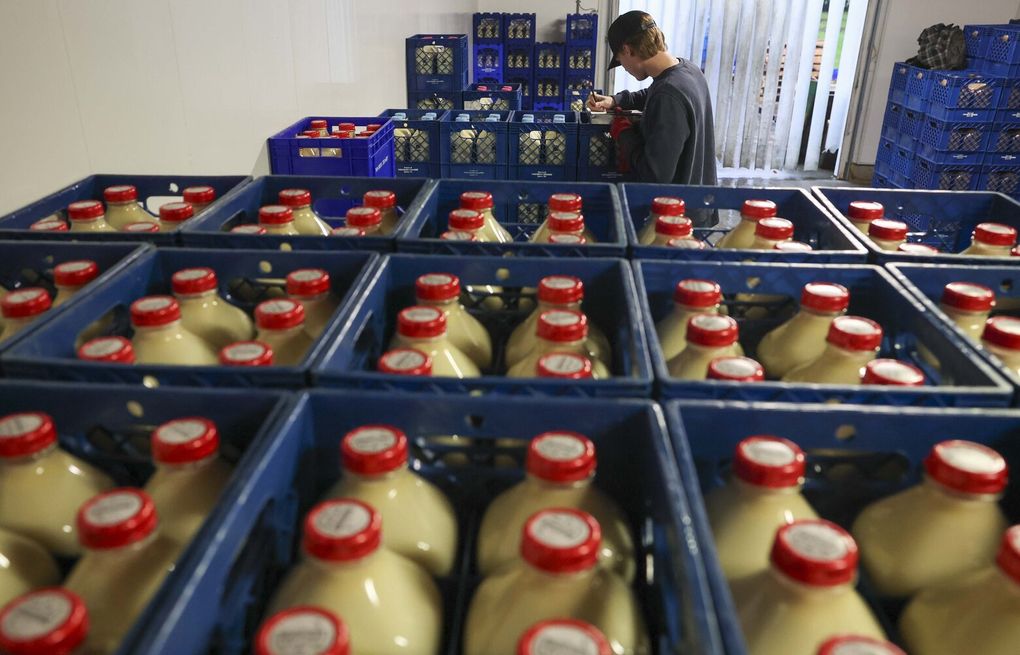 What are shoppers in Western Washington paying for milk?