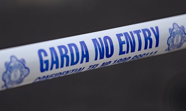 Woman and young boy die in Co Offaly house fire