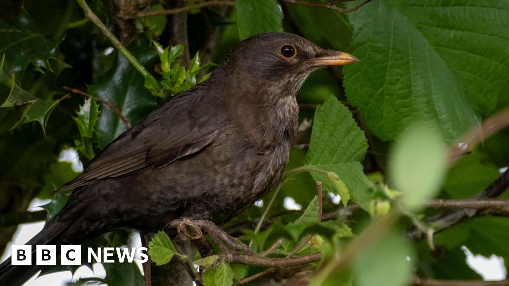Wrabness nature reserve expanding thanks to £50k fundraiser