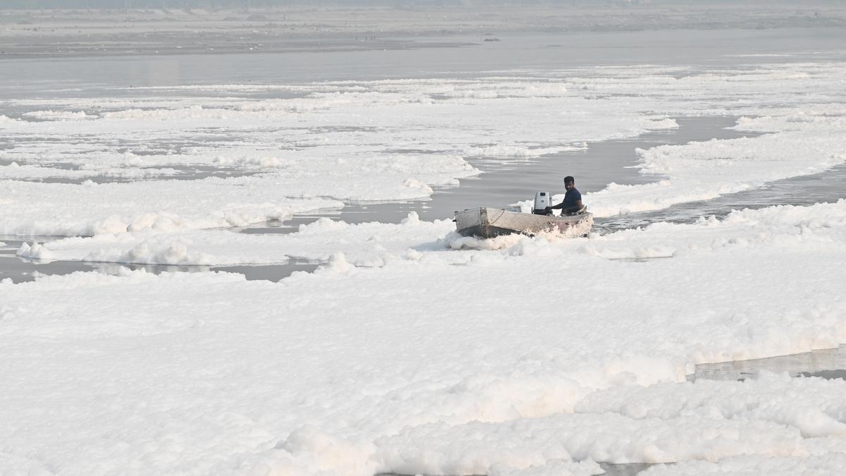 Untreated sewage, missing effluent plants key reasons for Yamuna's pollution: Govt