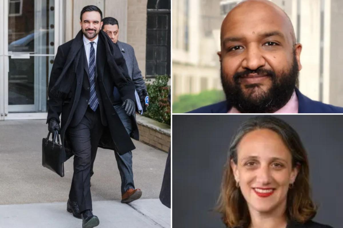 Zohran Mamdani reveals more de Blasio, Adams alums to join his...