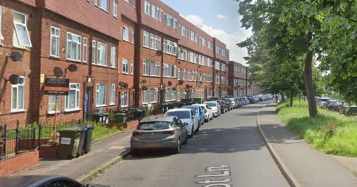 Schoolboy, 10, left fighting for life after being hit by car as man arrested - The Mirror