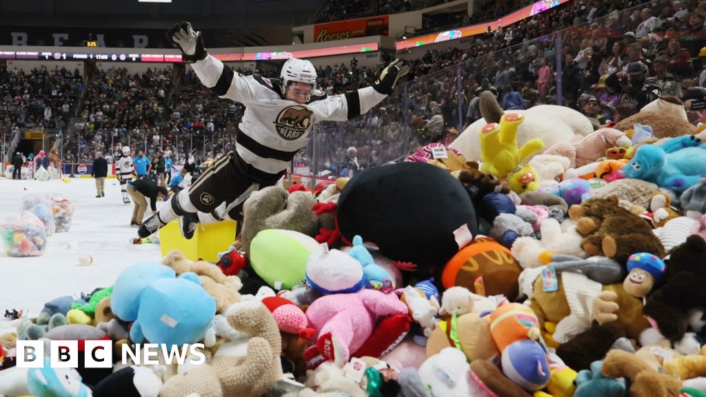 Watch: Moment over 80,000 teddy bears fly onto ice rink