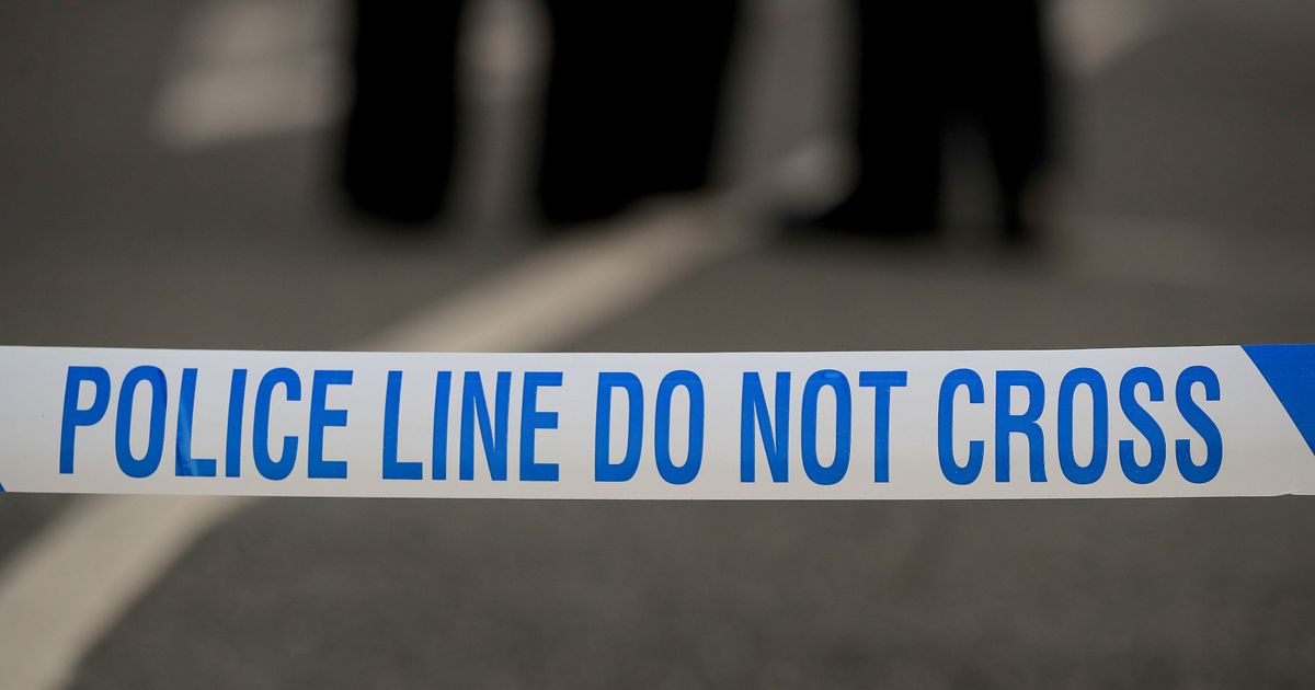 Woman, 95, tied up by man who offered to 'clean her windows' in 'vile' incident - The Mirror