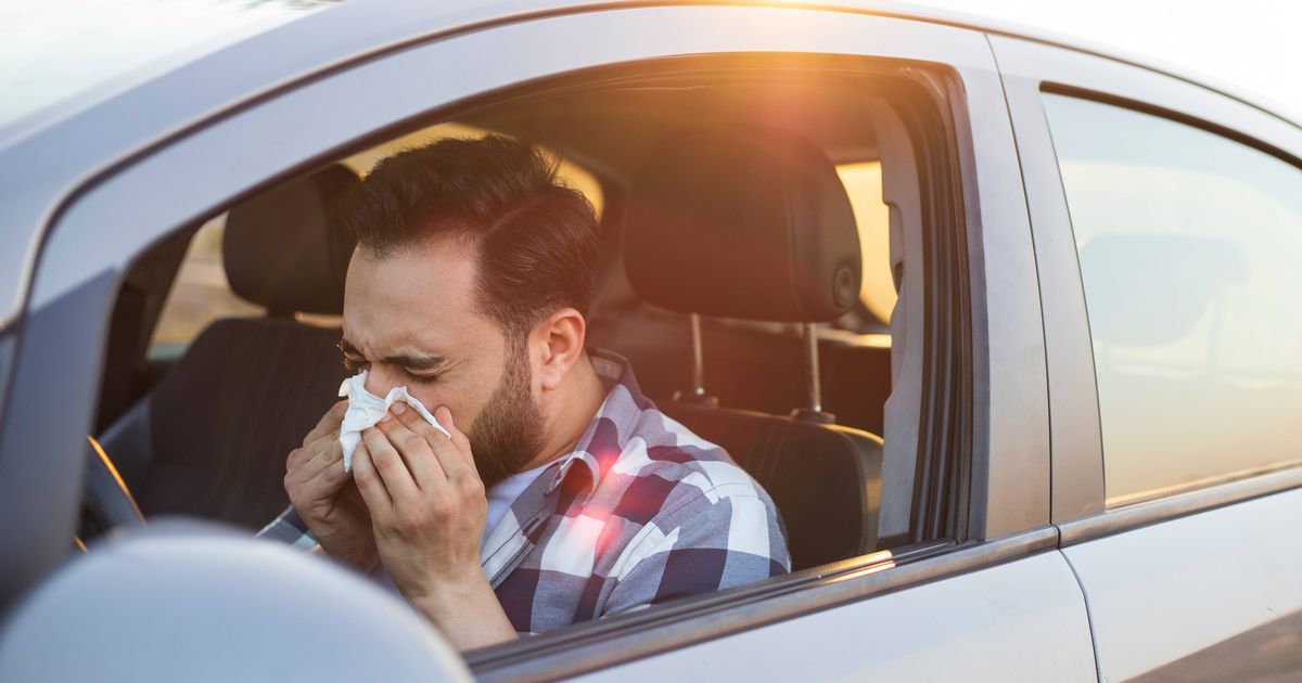 AA warns anyone with a cold to think twice before getting behind the wheel this month - The Mirror