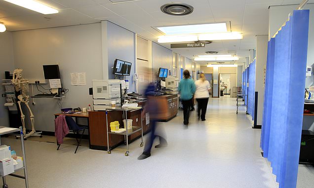 One in 10 A&E patients waited more than 12 hours, figures show