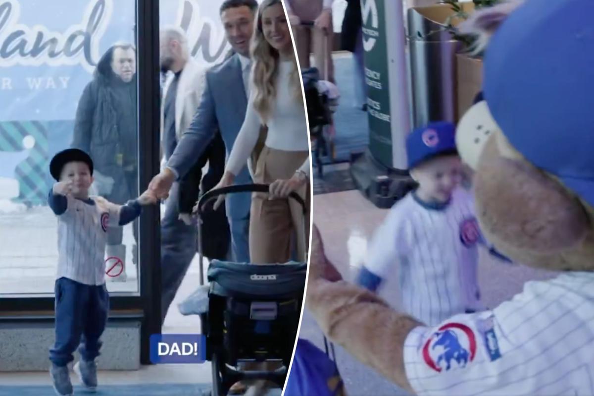 Alex Bregman's son goes wild meeting Cubs mascot in adorable scene
