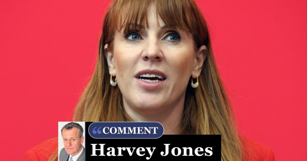 'Angela Rayner isn't even in cabinet - but she's still set to ruin Britain'