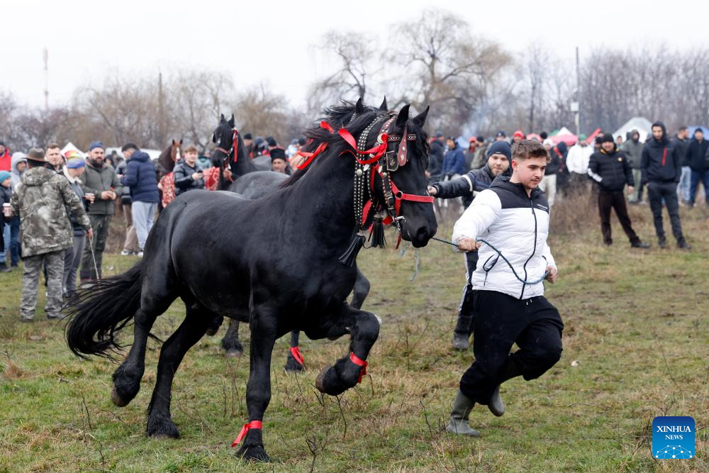 Annual traditional Epiphany gathering held in Pietrosani, Romania