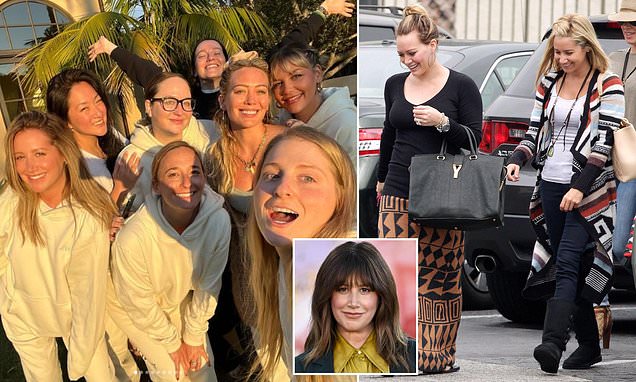 Insider NAMES celeb villian in Ashley Tisdale 'toxic mom group' drama