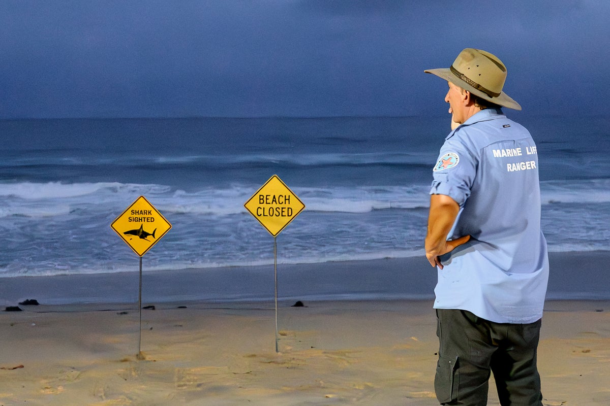 Australia shark attack victim's family disclose 'devastating injuries'