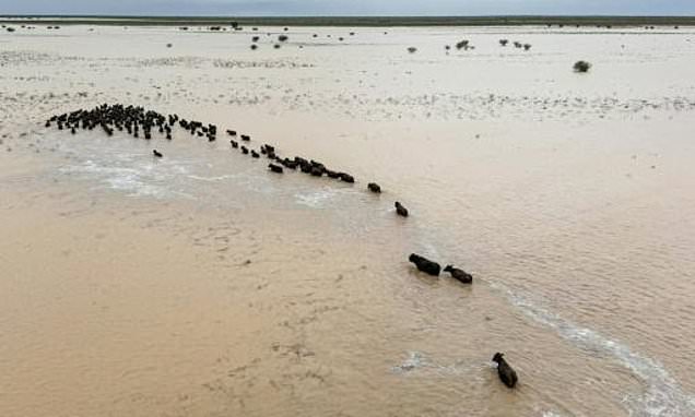Australian PM to tour outback flood disaster zone