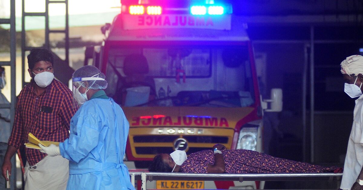 Health officials scramble to stop deadly bat-borne 'Contagion' virus