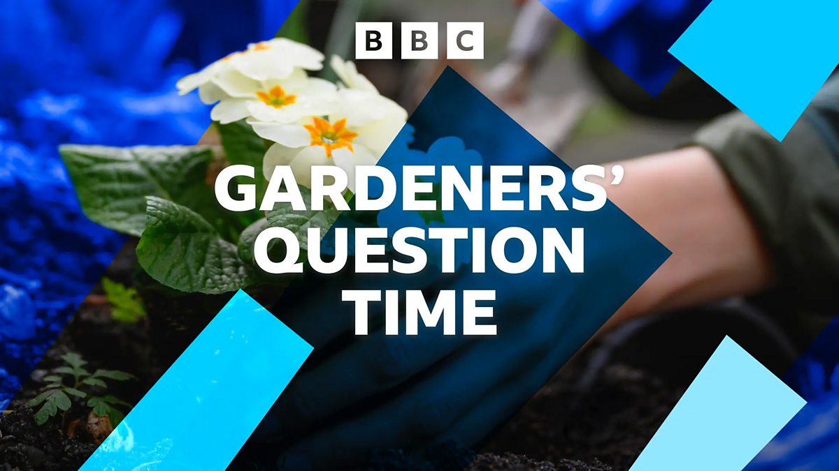 BBC Radio 4 - Gardeners' Question Time, Postbag Edition: Sefton Park Palm House