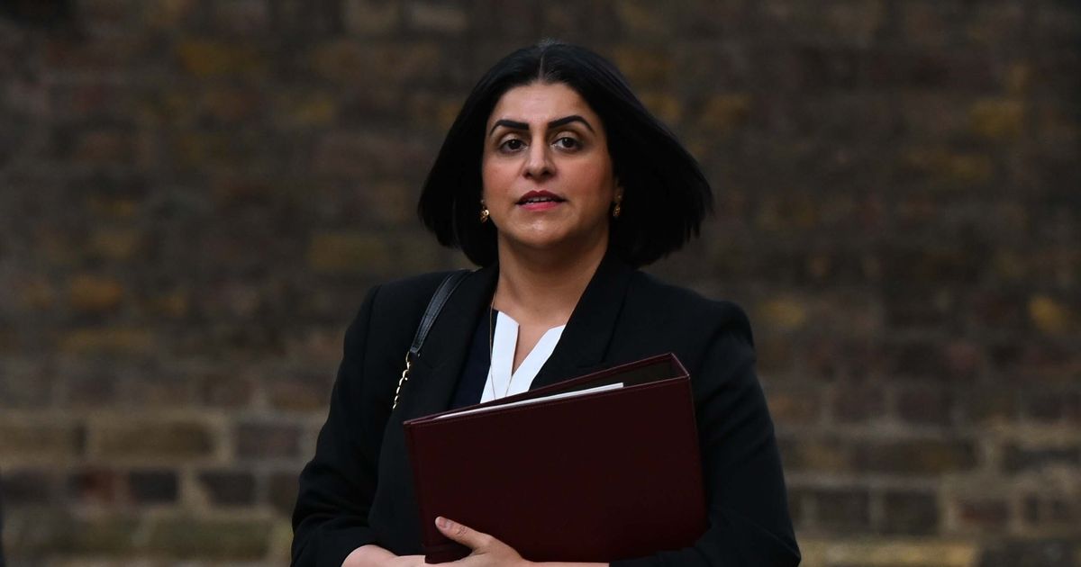 Biggest policing shake-up in 200 years as new crack squads to be created - The Mirror