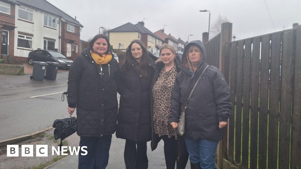 Fears of fatality spark Birley school crossing petition