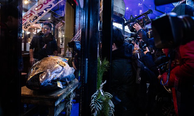 Bluefin tuna sells for record $3.2 million at year-opening auction...