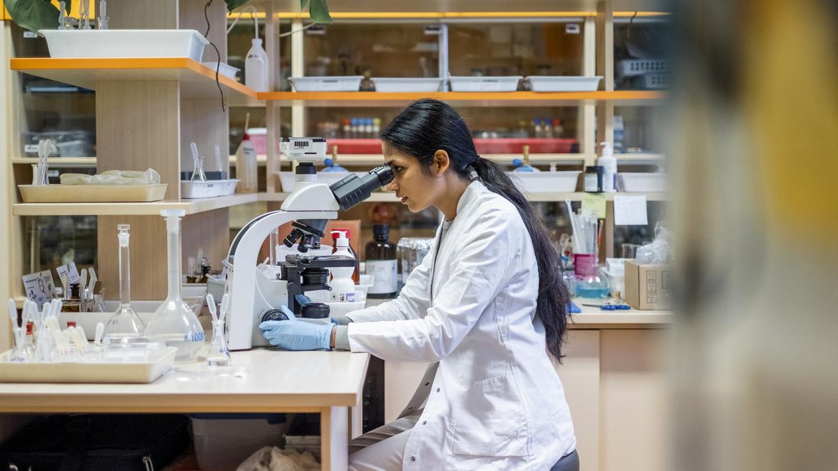 How we can bring our scientists back home