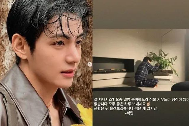 BTS' V becomes 'plant parent' before 'Arirang' comeback - The Korea Times