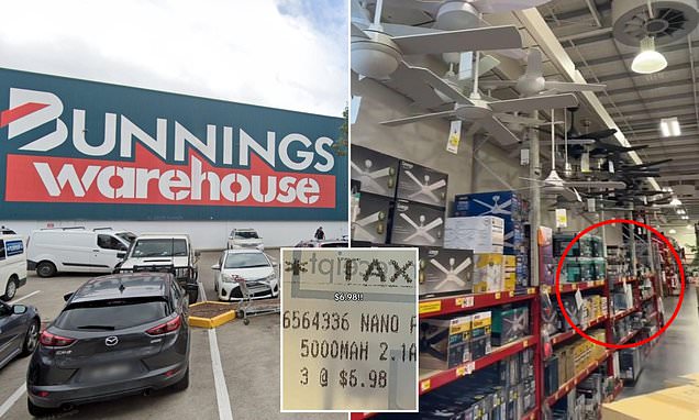 The unexpected $7 item Bunnings travellers are going wild for