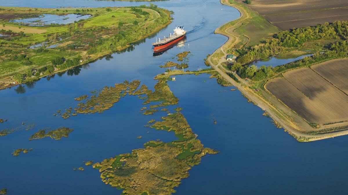 California's Delta waters are in poor ecological health, scientists warn