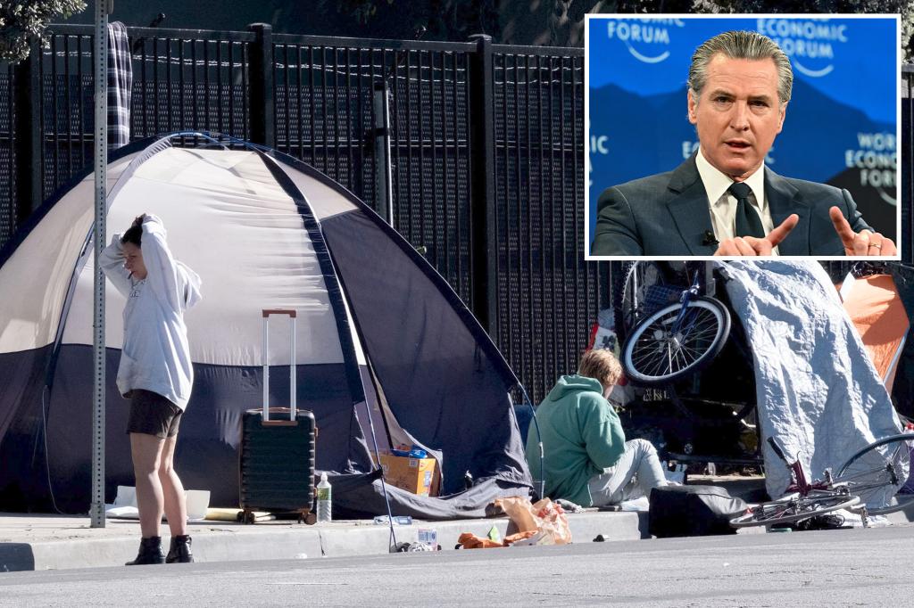 Governor Gavin Newsom's $236M program for California's mentally ill...