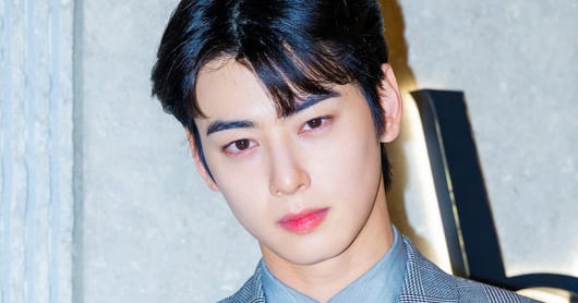 Exclusive: Cha Eun-woo's Tax Evasion Prompts Brand Exits