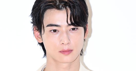 Cha Eun-woo Hit With Record 20 Billion Won Tax Surcharge