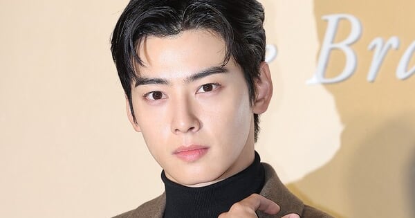Cha Eun-woo's 20 Billion Won Tax Case Risks Criminal Charges
