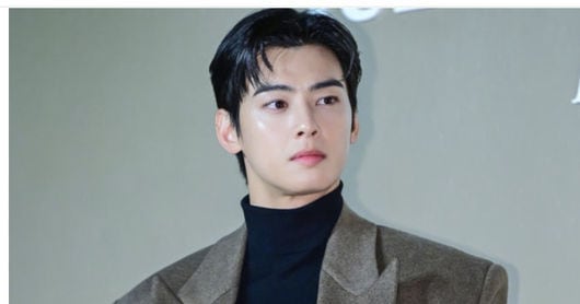 Cha Eun-woo Tax Probe, Military Enlistment Speculation Prompt Neutrality Calls