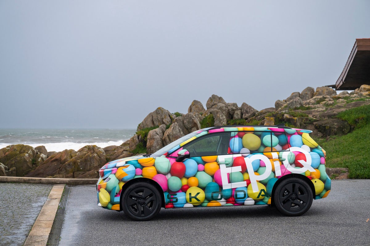 Beware: Chinese car brands could disappear, says Skoda boss