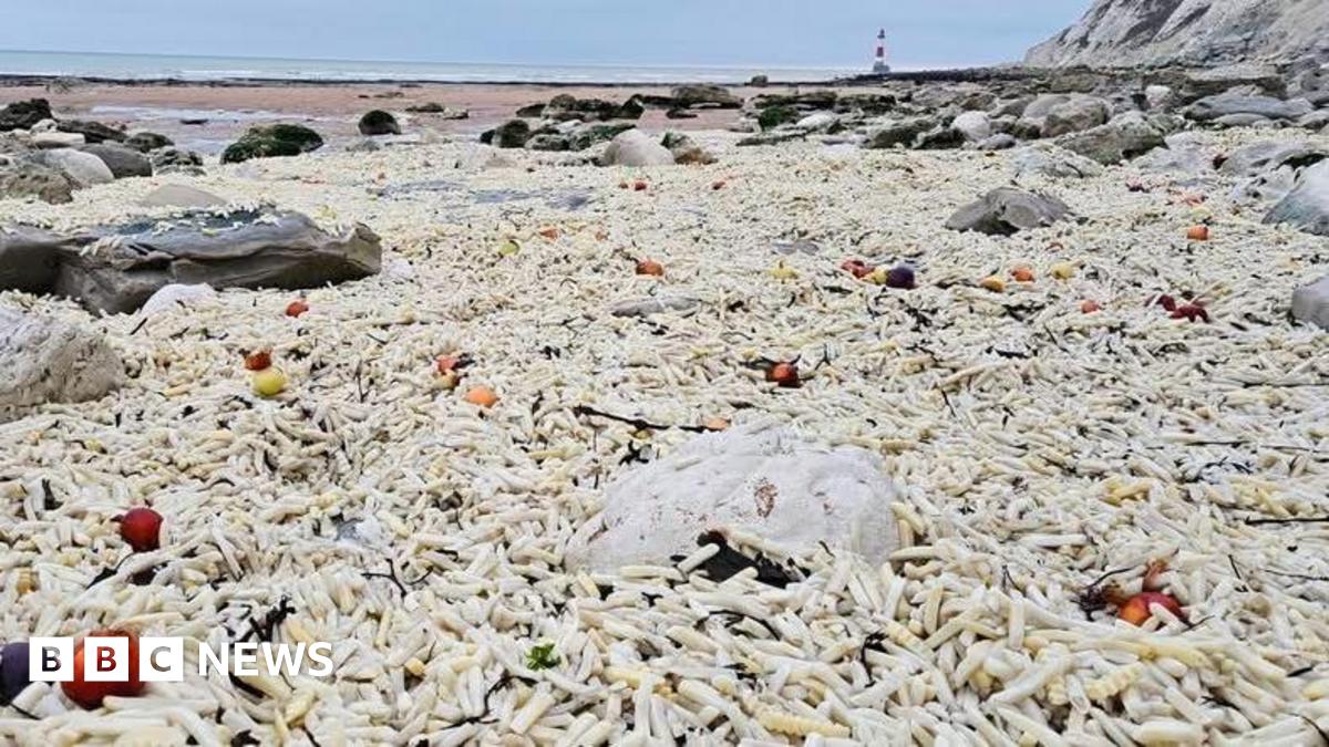 Chip wreck! Thousands of chips wash ashore near Eastbourne