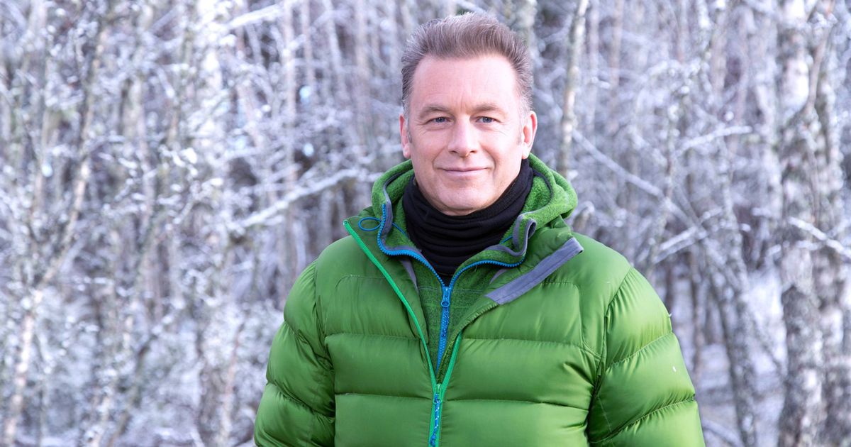 Chris Packham warns of massive change we must make to save UK's garden birds - The Mirror
