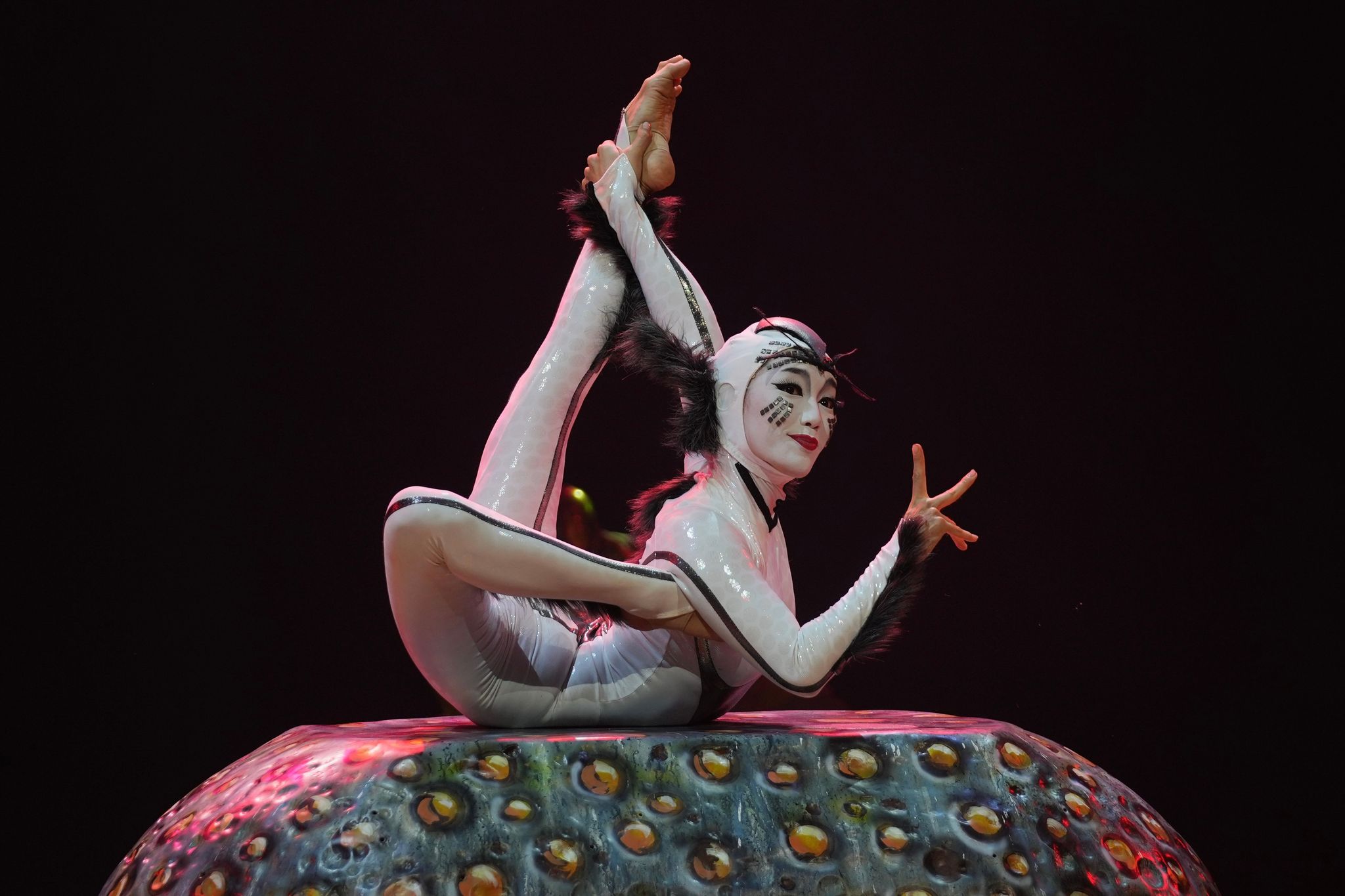 Photos show Cirque du Soleil rehearsing for upcoming show 'Ovo,' on the life cycle of insects