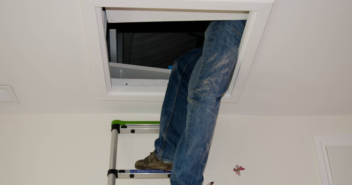 'We're renovating Victorian home and couldn't believe what we found in attic' - The Mirror