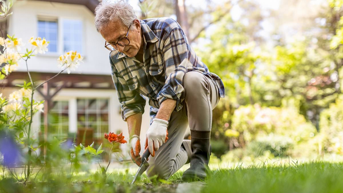 The top tips dementia experts use to protect themselves