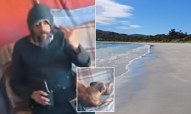 Bizarre scenes as dog is seen DRIVING on a beach