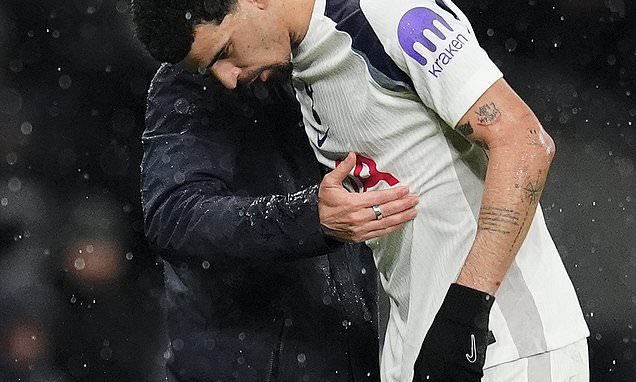 Dominic Solanke eases pressure on under-fire Tottenham boss Thomas...
