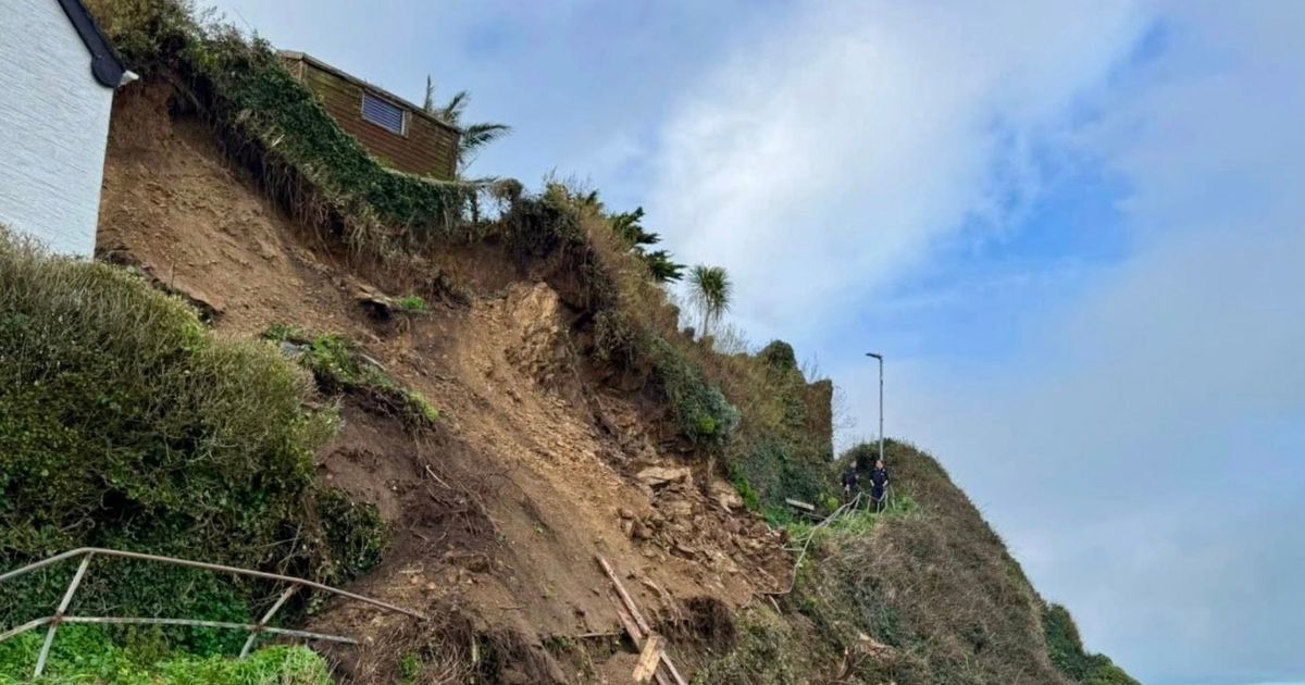 People and dogs in dramatic rescue after cliff collapses following storms - The Mirror