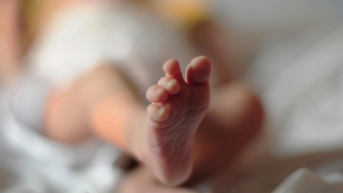 Early investment in children, the key to India's future